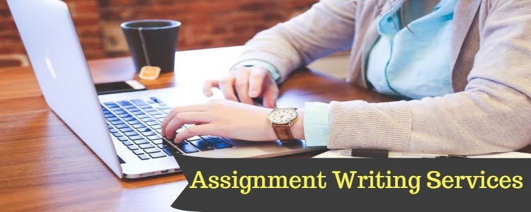 assignment writing company