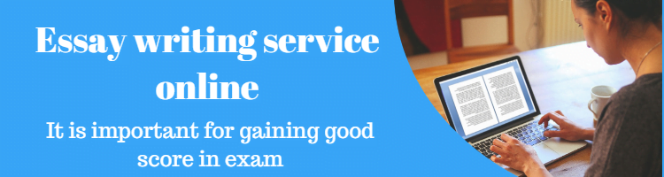 essay writing service