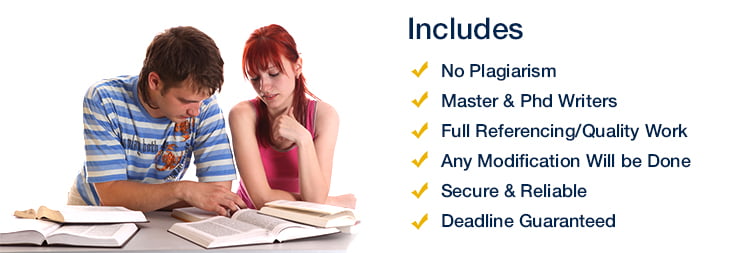 Essay Writing Services