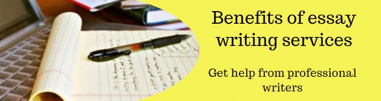 essay writing service Auckland