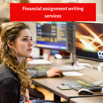 Financial assignment writing services
