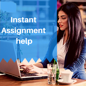 Instant Assignment help