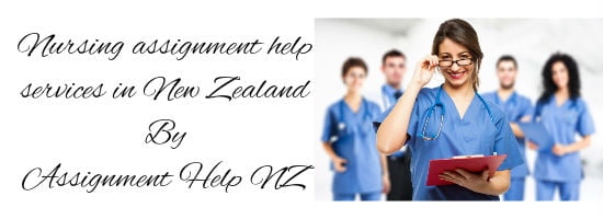 Nursing assignment help