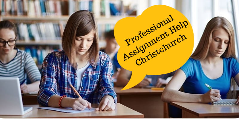 Professional Assignment Help Christchurch