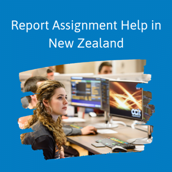 Report assignment help
