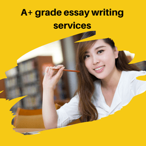 new zealand essay writing